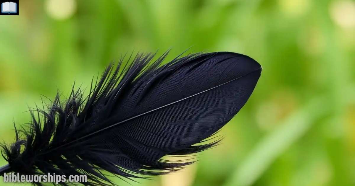 Black Feather Spiritual Meaning Explained