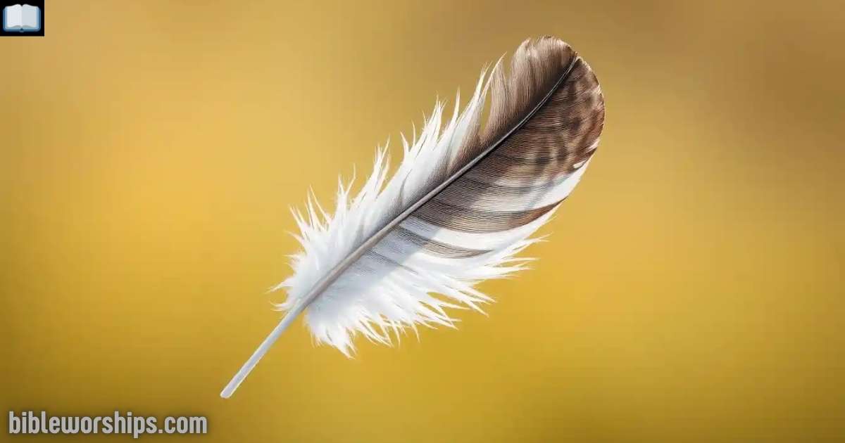 Grey and White Feather Meaning