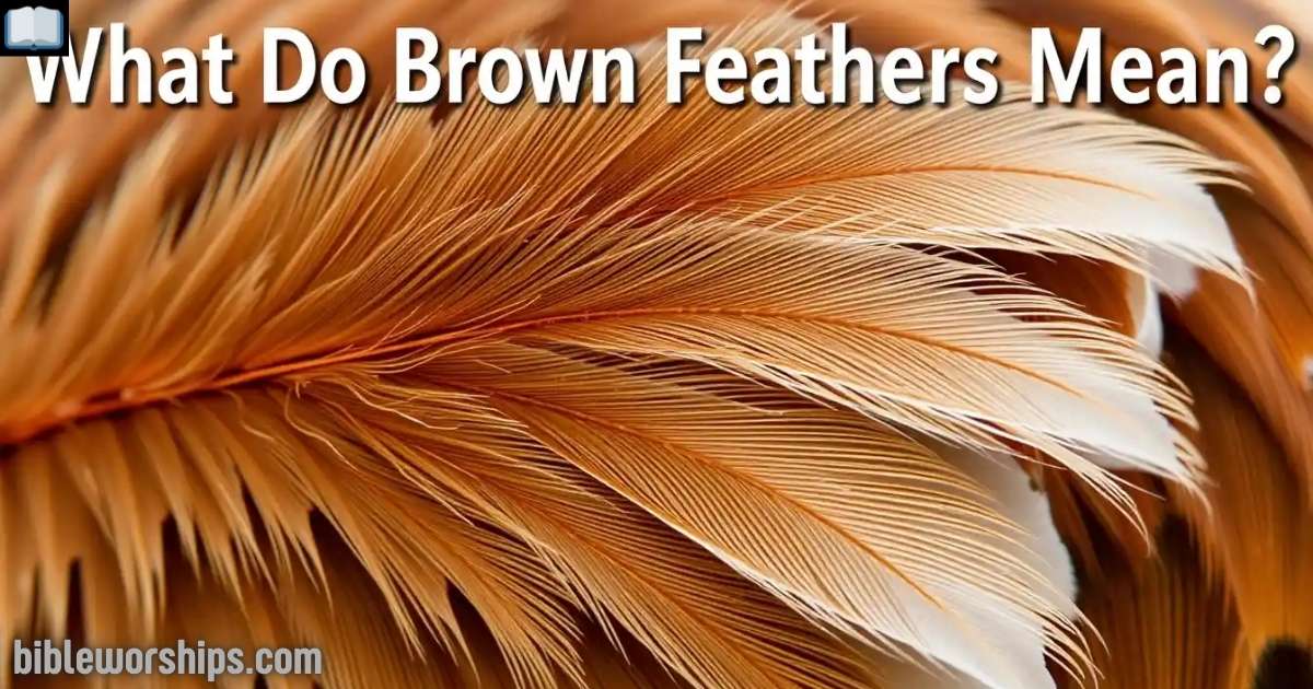 What Do Brown Feathers Mean